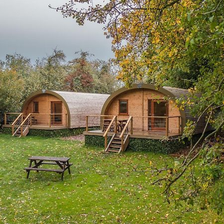 Cosy And Eco-Friendly Cabins Next To 16Th Century Pub 纽马基特 外观 照片