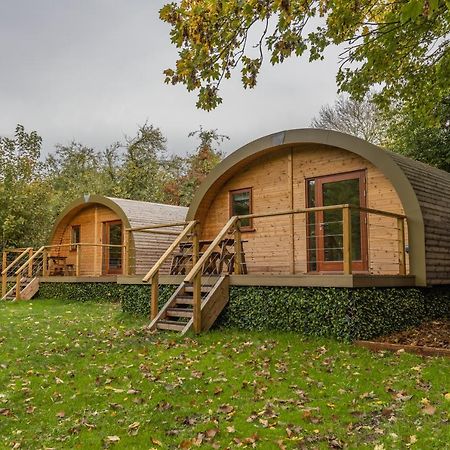 Cosy And Eco-Friendly Cabins Next To 16Th Century Pub 纽马基特 外观 照片